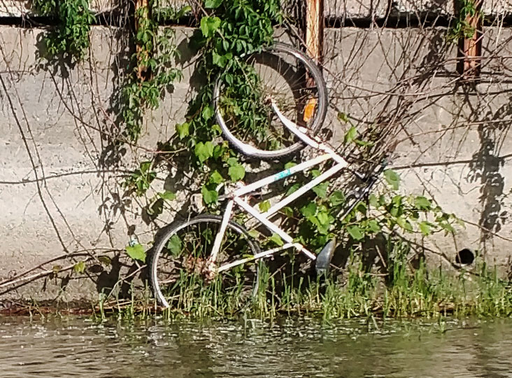 Unexpected bicycle on wall