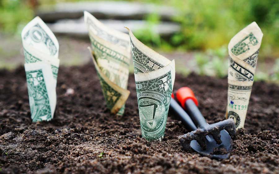 make money writing
