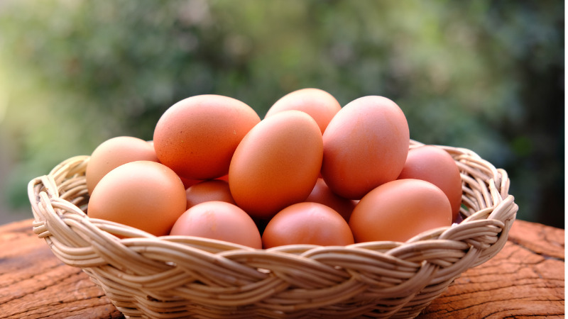 all your freelance eggs in one basket